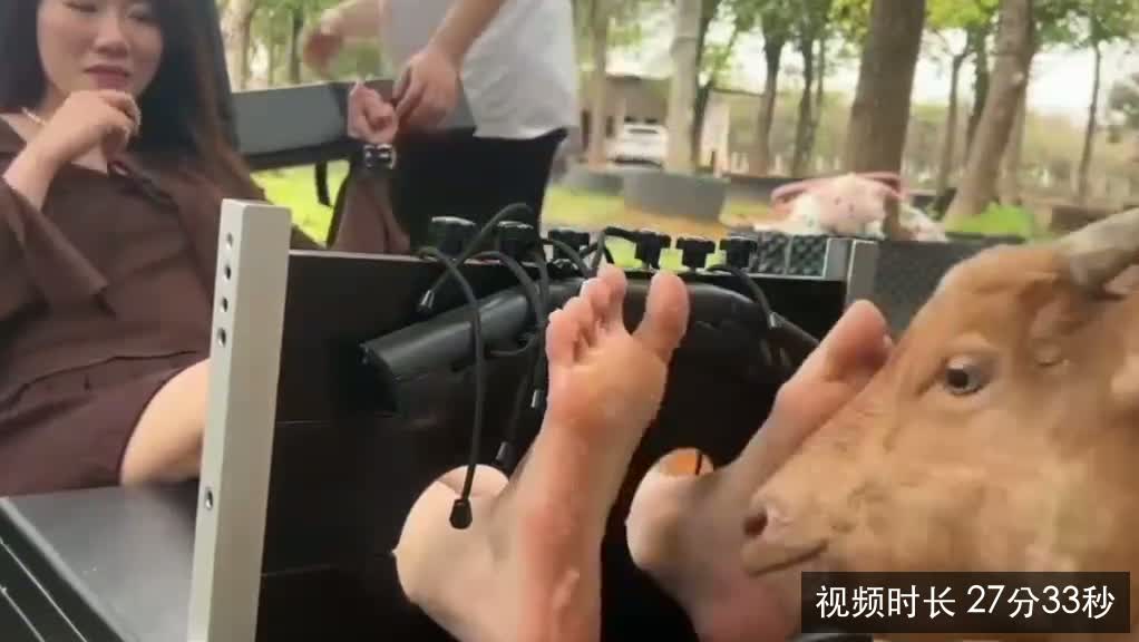 推特大王山羊tk挠天