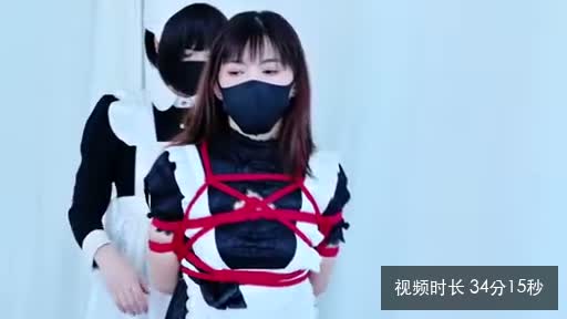 女仆互调tk